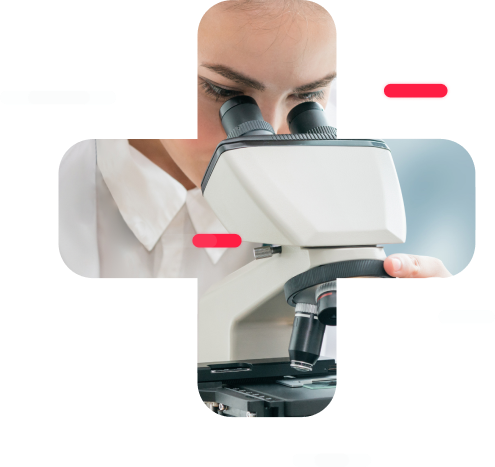 Kto stworzył system Bloodlab?